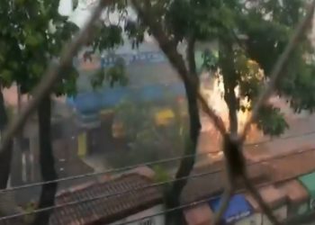 Árvore cai em Pouso Alegre e provoca curto circuito na rede elétrica