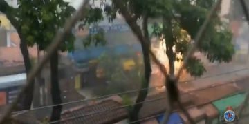 Árvore cai em Pouso Alegre e provoca curto circuito na rede elétrica