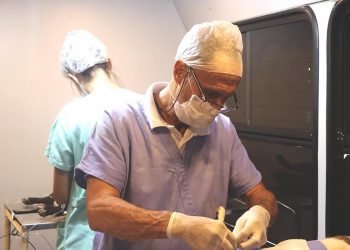 Prefeitura inicia procedimento de Castração para 600 animais