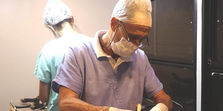 Prefeitura inicia procedimento de Castração para 600 animais