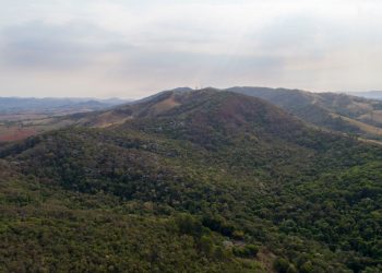 Prefeitura alerta sobre presença e respeito a animais silvestres em ponto turístico