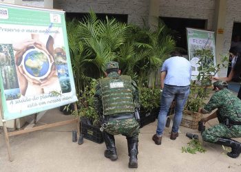 Prefeitura e Polícia Militar de Meio Ambiente doam mais de 400 mudas de árvores