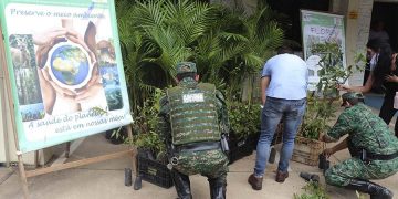 Prefeitura e Polícia Militar de Meio Ambiente doam mais de 400 mudas de árvores