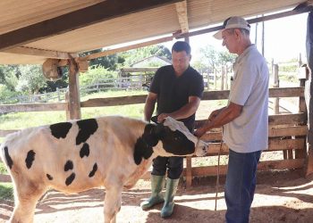 Produtores comemoram resultados do Programa de Melhoramento Genético da Prefeitura