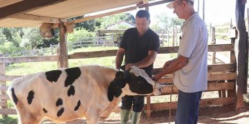 Produtores comemoram resultados do Programa de Melhoramento Genético da Prefeitura