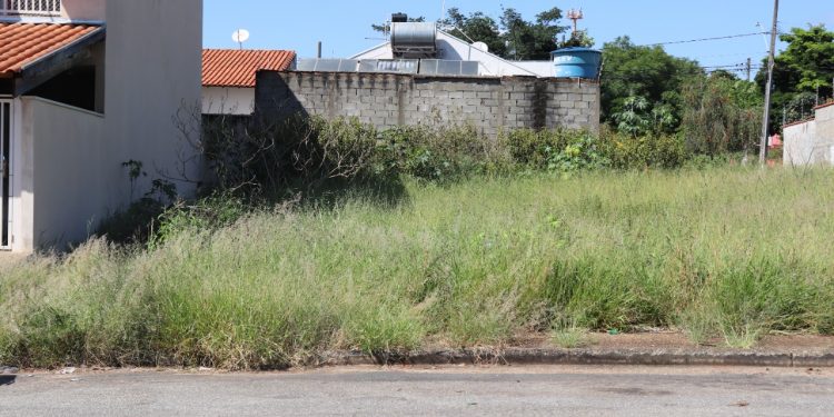 Prefeitura intensifica fiscalização de limpeza em lotes vagos e multa proprietários