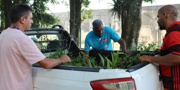 Curso de Biologia da Univás realiza doação de mudas para Careaçu