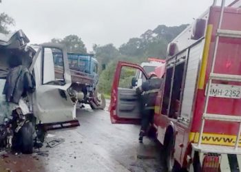 Motorista morre em acidente na BR-459, entre Poços e Caldas Van e Caminhão batem de frente