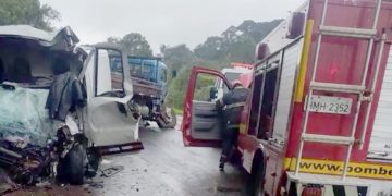 Motorista morre em acidente na BR-459, entre Poços e Caldas Van e Caminhão batem de frente