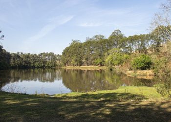 Semana do Meio Ambiente tem programação especial em Pouso Alegre