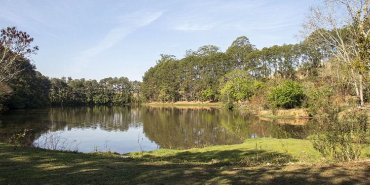Semana do Meio Ambiente tem programação especial em Pouso Alegre