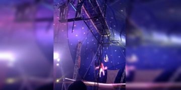 Artista de circo cai do trapézio e sofre traumatismo craniano