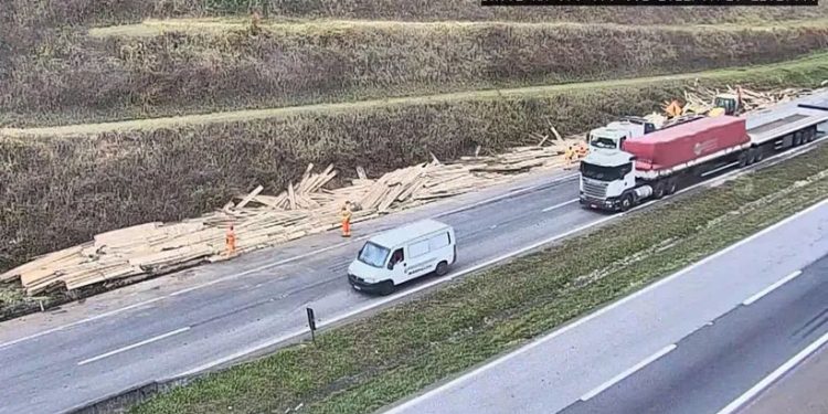 Acidente na BR-381 deixa carga espalhada nas margens da Fernão Dias