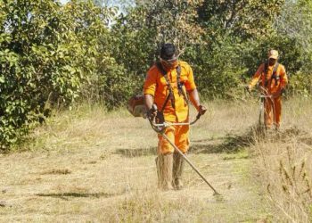 Prefeitura realiza ações de prevenção de incêndios no Horto Florestal