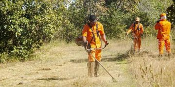 Prefeitura realiza ações de prevenção de incêndios no Horto Florestal