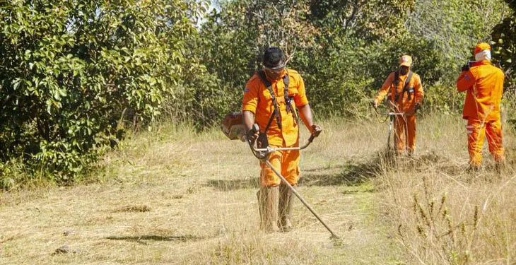 Prefeitura realiza ações de prevenção de incêndios no Horto Florestal