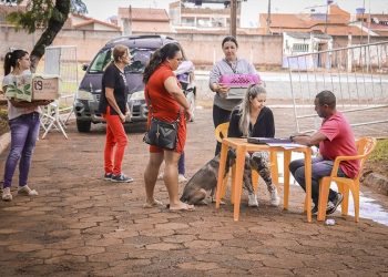 Confira os locais do segundo sábado de campanha de vacinação antirrábica na zona urbana