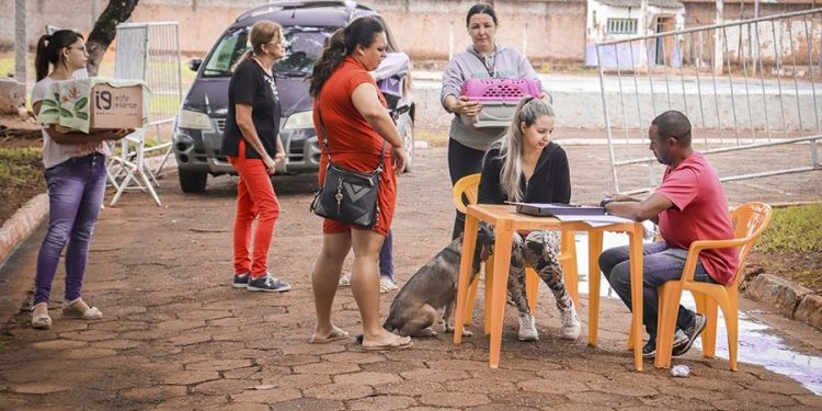 Confira os locais do segundo sábado de campanha de vacinação antirrábica na zona urbana