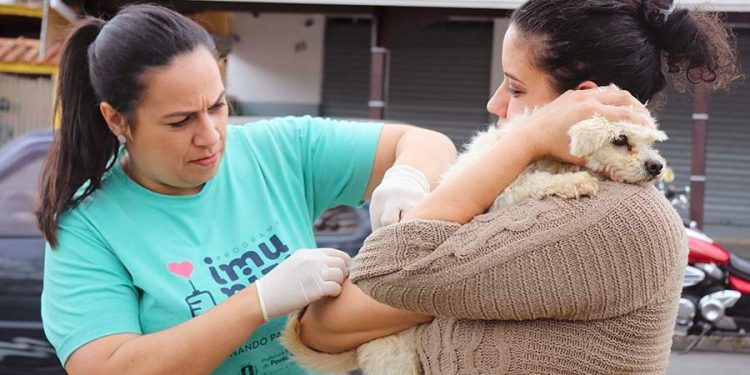 Saiba onde vacinar os pets no próximo sábado (27)