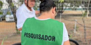 Equipes realizam pesquisas para Plano de Mobilidade Urbana