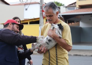 Antirrábica saiba onde vacinar os pets no próximo sábado (3)