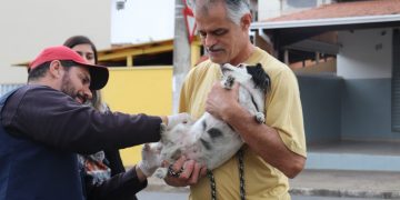 Antirrábica saiba onde vacinar os pets no próximo sábado (3)