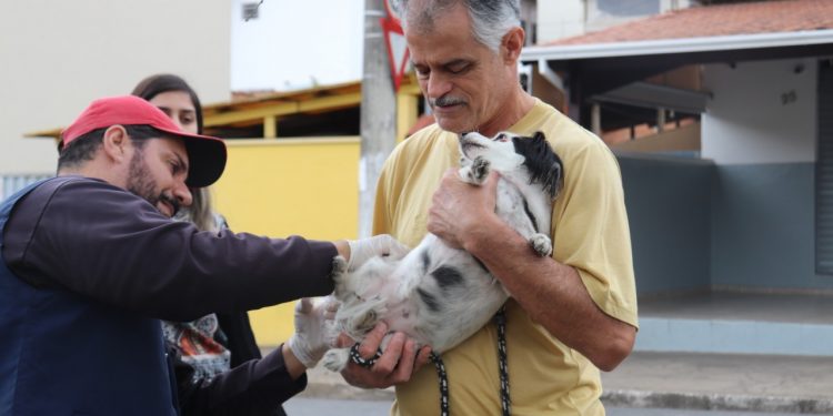 Antirrábica saiba onde vacinar os pets no próximo sábado (3)