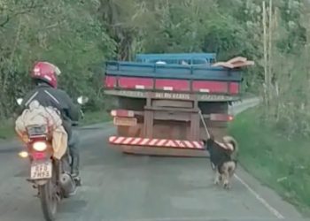Preso motorista que levou cachorro amarrado em seu caminhão pela rodovia