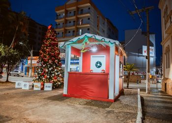 Última Semana de apadrinhamentos da Árvore Mágica