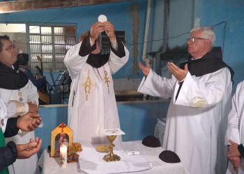 Como semear o amor em tempos tão difíceis e acreditar em dias melhores
