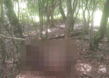 Preso suspeito de matar homem encontrado amarrado em árvore em Pouso Alegre