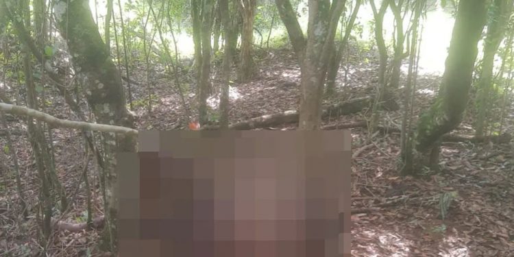Preso suspeito de matar homem encontrado amarrado em árvore em Pouso Alegre