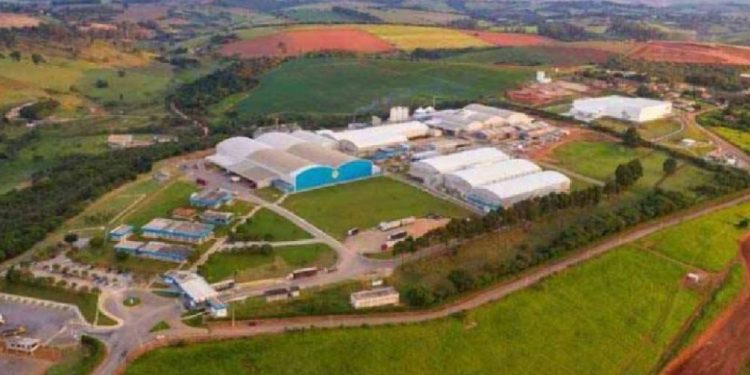 Yoki transfere fabrica no Paraná para Pouso Alegre e vai gerar mais de mil novos empregos