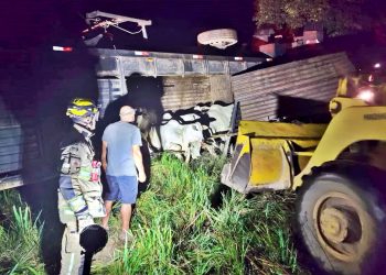 Em Borda da Mata, Carreta que transportava bois capota na MG-290, MG