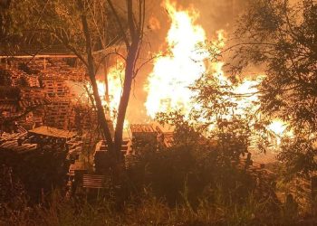 Em Pouso Alegre Bombeiros apagam incêndio em depósito de paletes na MG-290