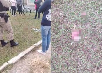 Polícia investiga feto encontrado em terreno da Policlínica em Pouso Alegre