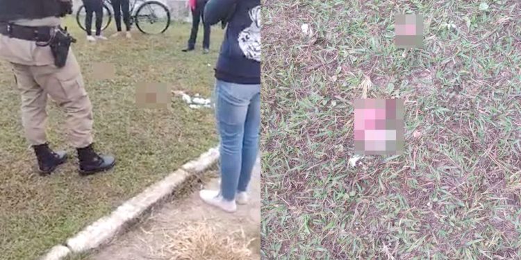 Polícia investiga feto encontrado em terreno da Policlínica em Pouso Alegre