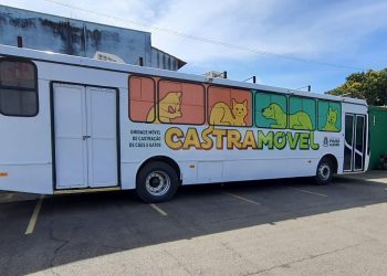 Prefeitura de Pouso Alegre revitaliza veículo castramóvel para atender cães e gatos