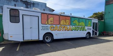 Prefeitura de Pouso Alegre revitaliza veículo castramóvel para atender cães e gatos