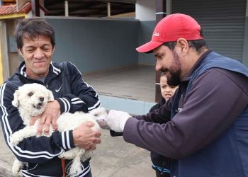 Em Pouso Alegre vacinação antirrábica para cães e gatos será iniciada neste sábado (19)