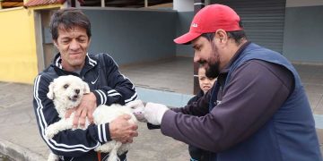 Em Pouso Alegre vacinação antirrábica para cães e gatos será iniciada neste sábado (19)