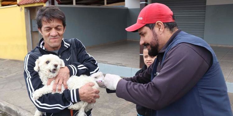 Em Pouso Alegre vacinação antirrábica para cães e gatos será iniciada neste sábado (19)