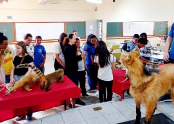Univás leva Museu Itinerante à Escola Anita Faria Amaral em Pouso Alegre