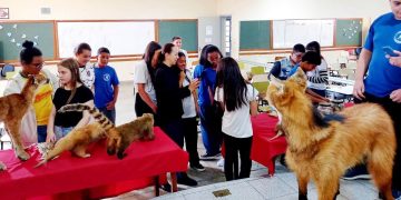 Univás leva Museu Itinerante à Escola Anita Faria Amaral em Pouso Alegre