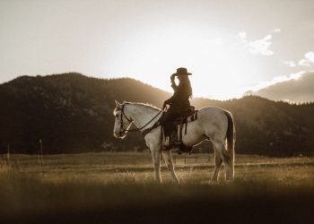 Em Pouso Alegre inscrições para a corte da Festa do Peão se iniciam