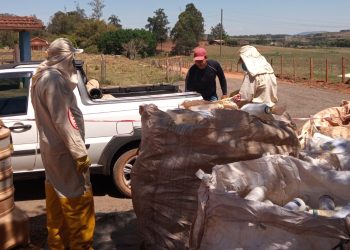 Em Pouso Alegre recolhimento itinerante de embalagens vazias de defensivos agrícolas continua