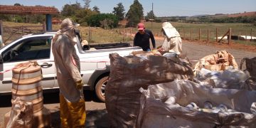 Em Pouso Alegre recolhimento itinerante de embalagens vazias de defensivos agrícolas continua