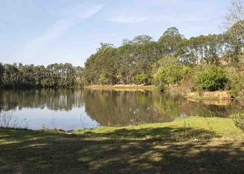 Prefeitura de Pouso Alegre investe 6 milhões na revitalização do Horto Florestal e projetos sustentáveis