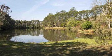 Prefeitura de Pouso Alegre investe 6 milhões na revitalização do Horto Florestal e projetos sustentáveis