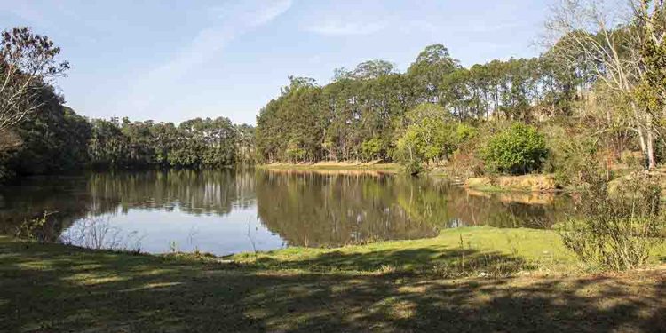 Prefeitura de Pouso Alegre investe 6 milhões na revitalização do Horto Florestal e projetos sustentáveis